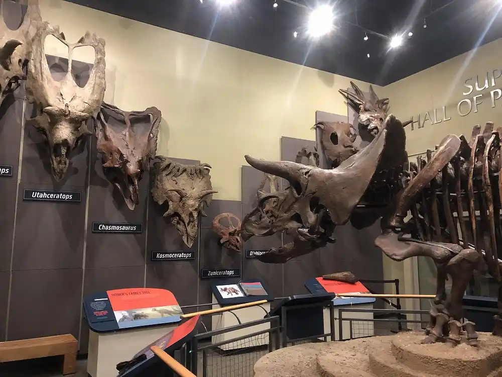 Burpee Museum of Natural History,