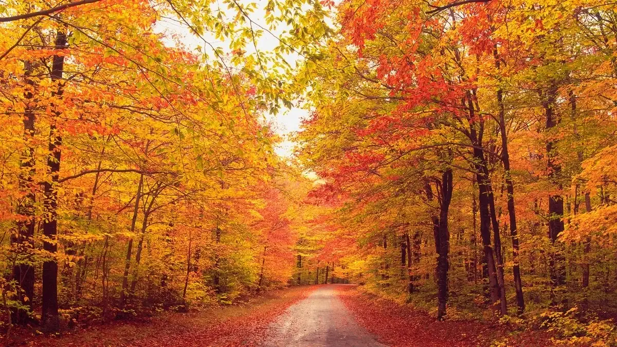 central vermont
