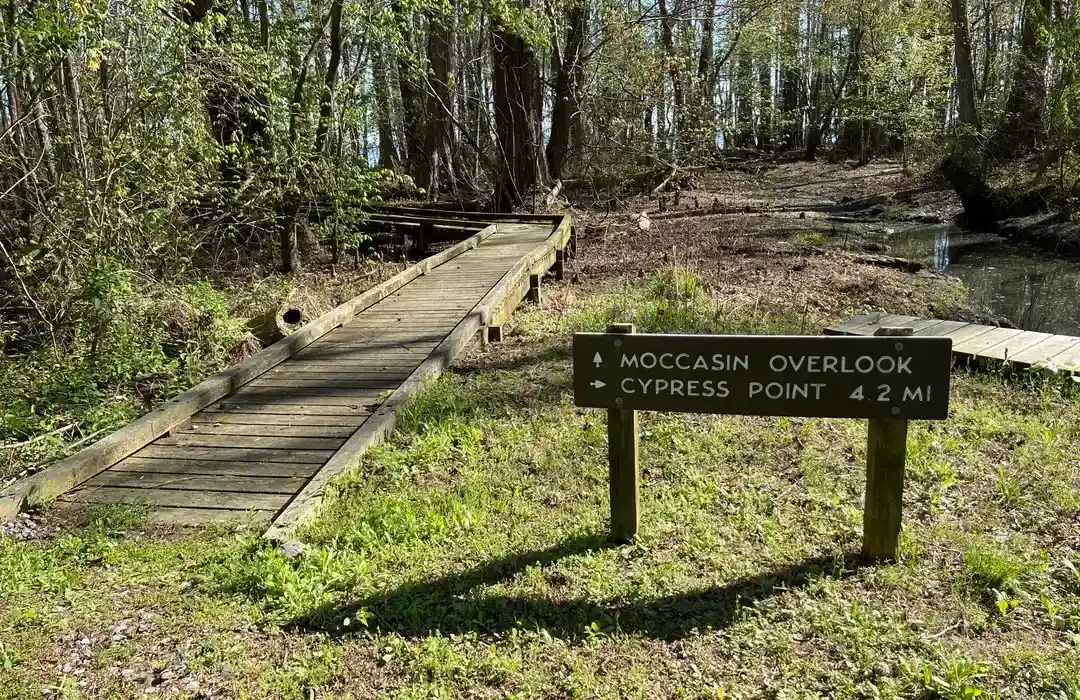 cypress point trail