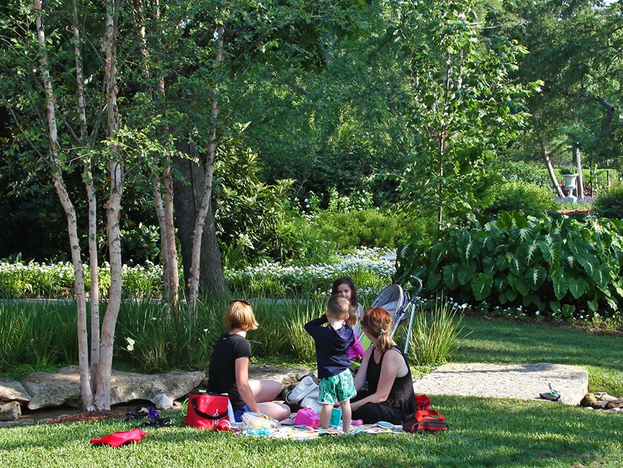 Lugares para hacer picnic en el Jardín Botánico y Arboretum de Dallas.