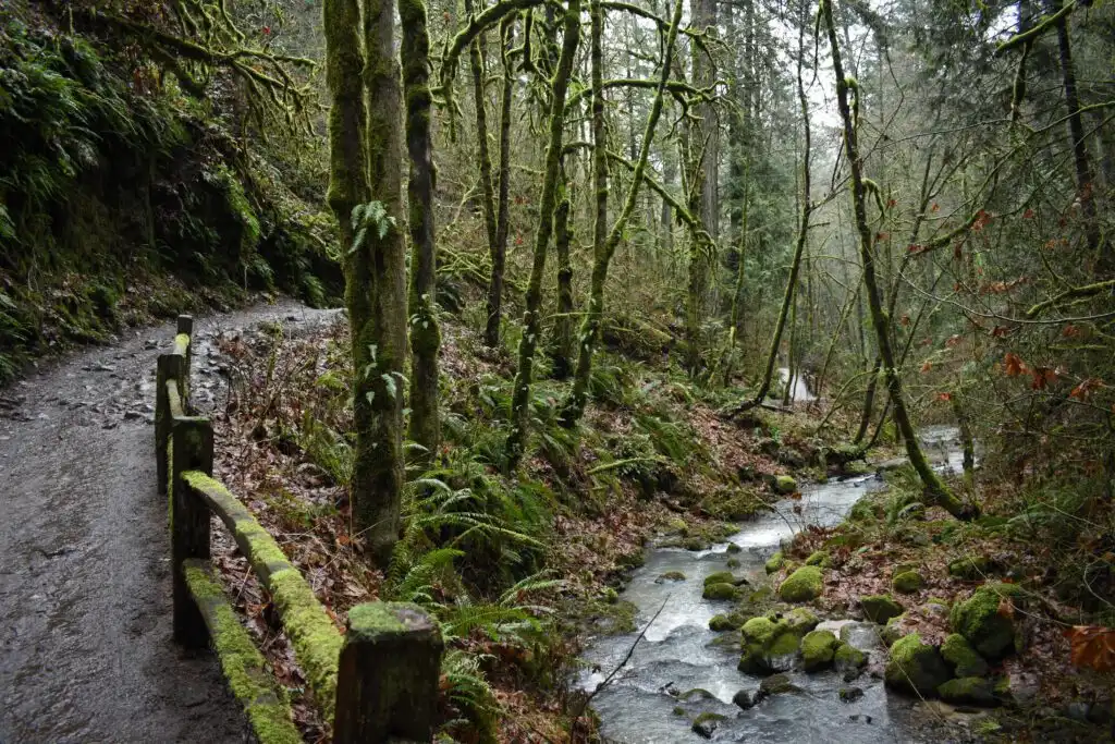  Forest Park