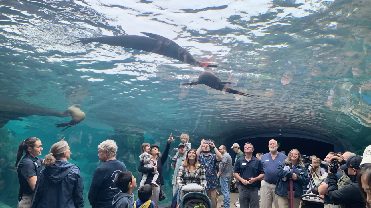 galápagos islands exhibit 