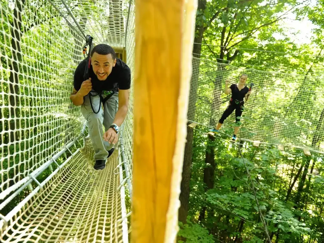 Go Ape Zipline And Adventure Park