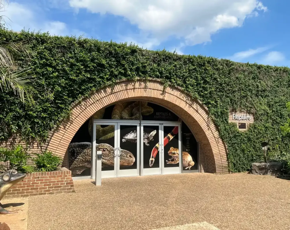 Reptile & Amphibian House