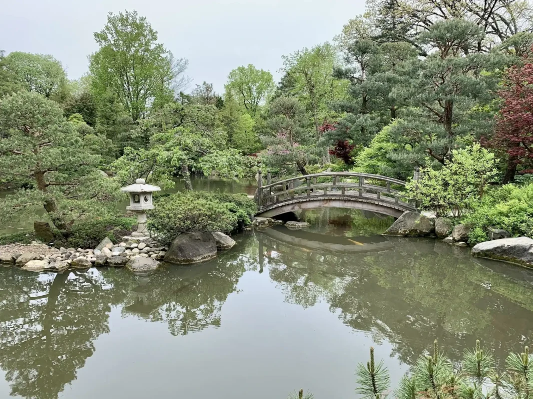 Koi Ponds & Stone Bridges of Anderson Japanese Gardens