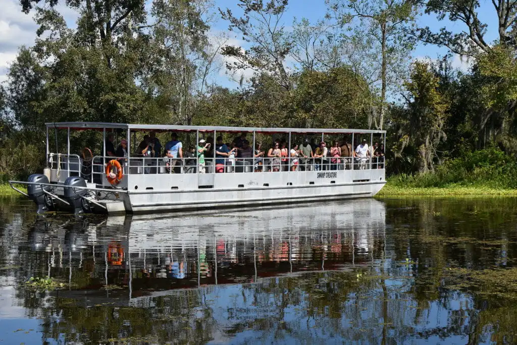 pontoon boat swamp tours