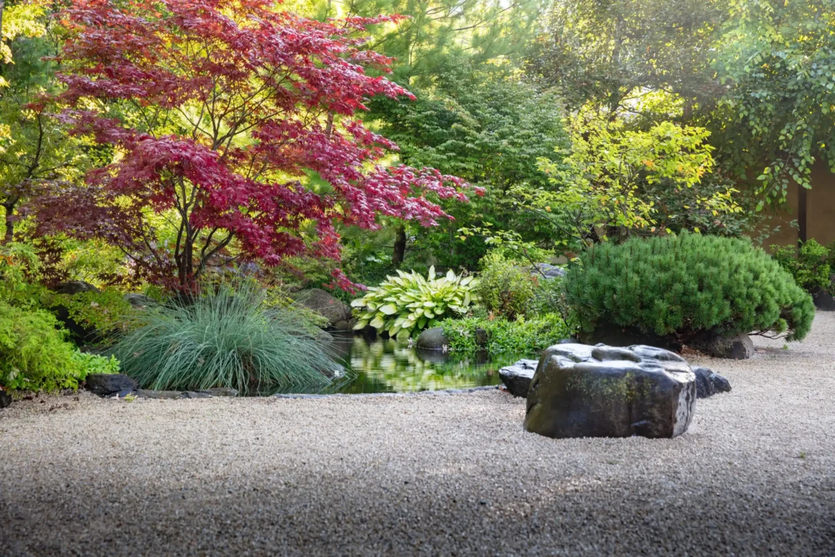 Seasonal Flowers & Landscapes of Anderson Japanese Gardens
