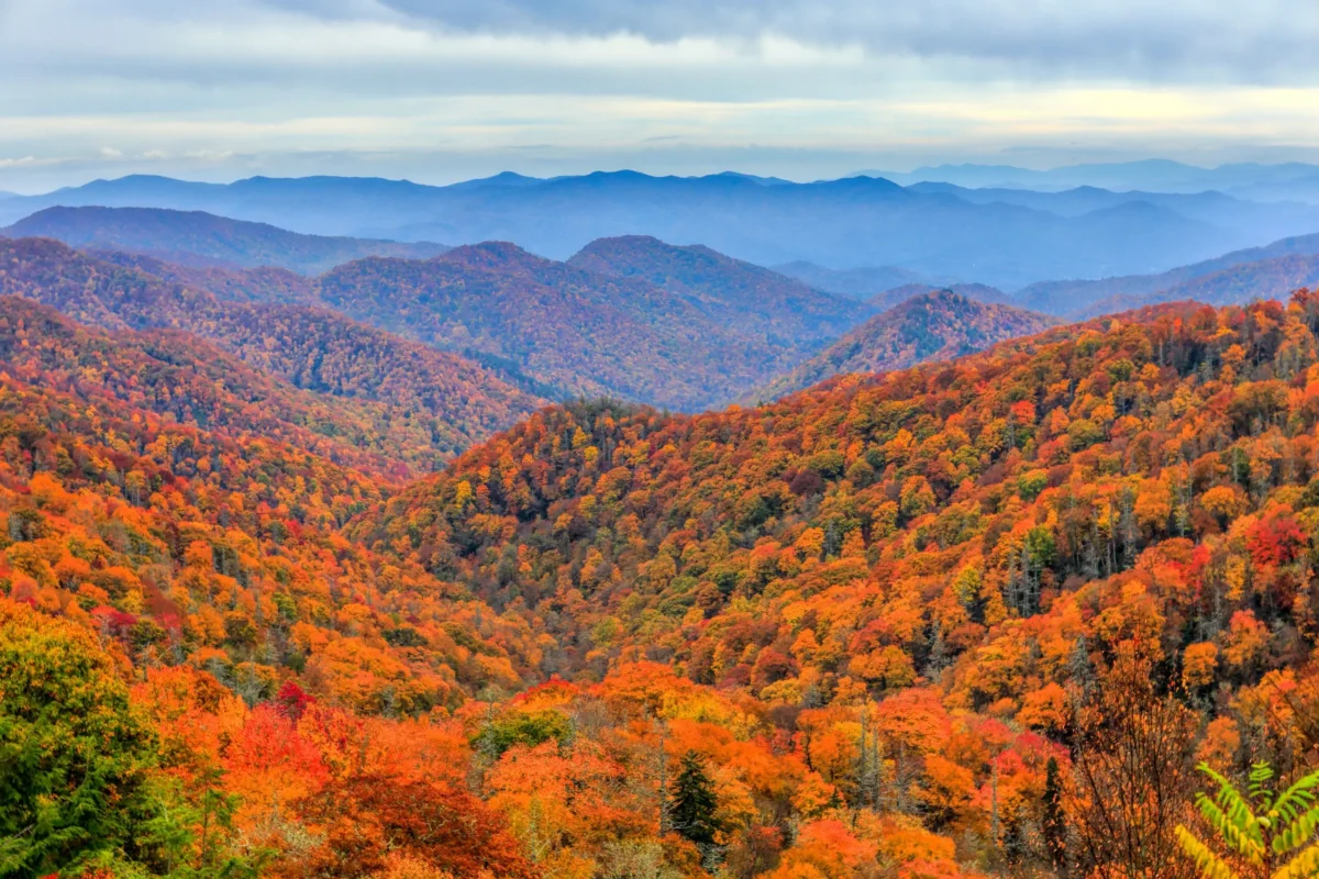 The Great Smoky Mountain
