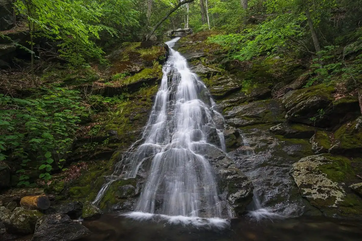 Tannery Falls image