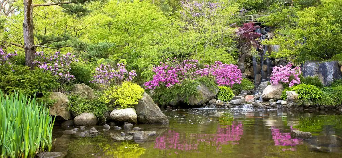 Beautiful Waterfalls & Streams, Anderson Japanese Gardens