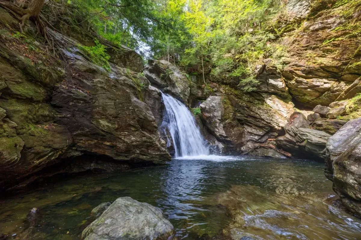 Bingham Falls