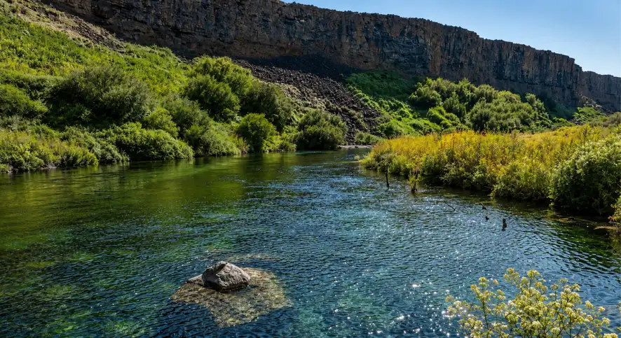  Box Canyon Springs, Feature Image