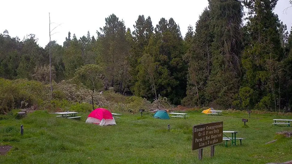 Camping in Hosmer Grove