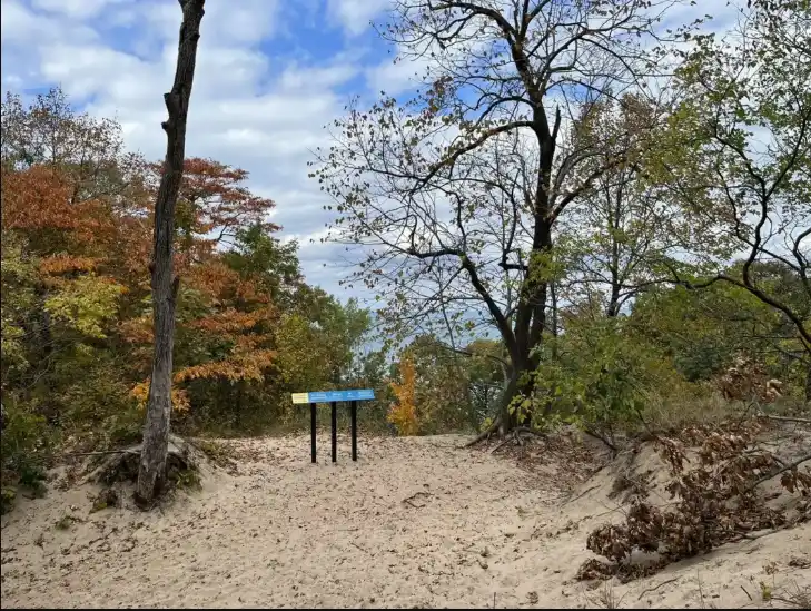 Cowles Bog Trail-body-img