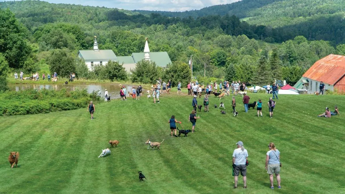 Dog Mountain