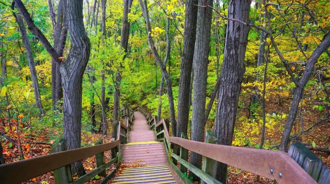 Dune Succession Trails-body-img