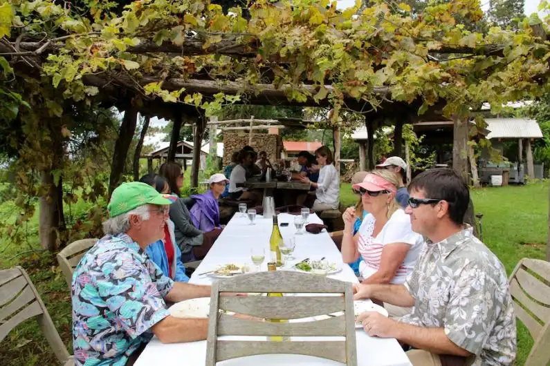 Farm-to-Table Experiences