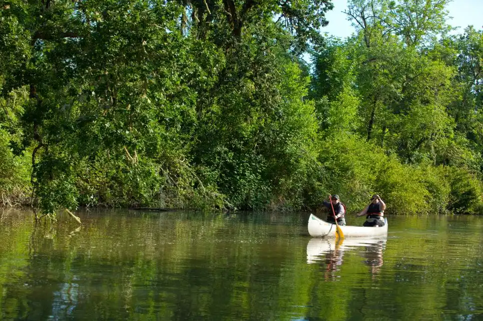 Fern Ridge Reservoir