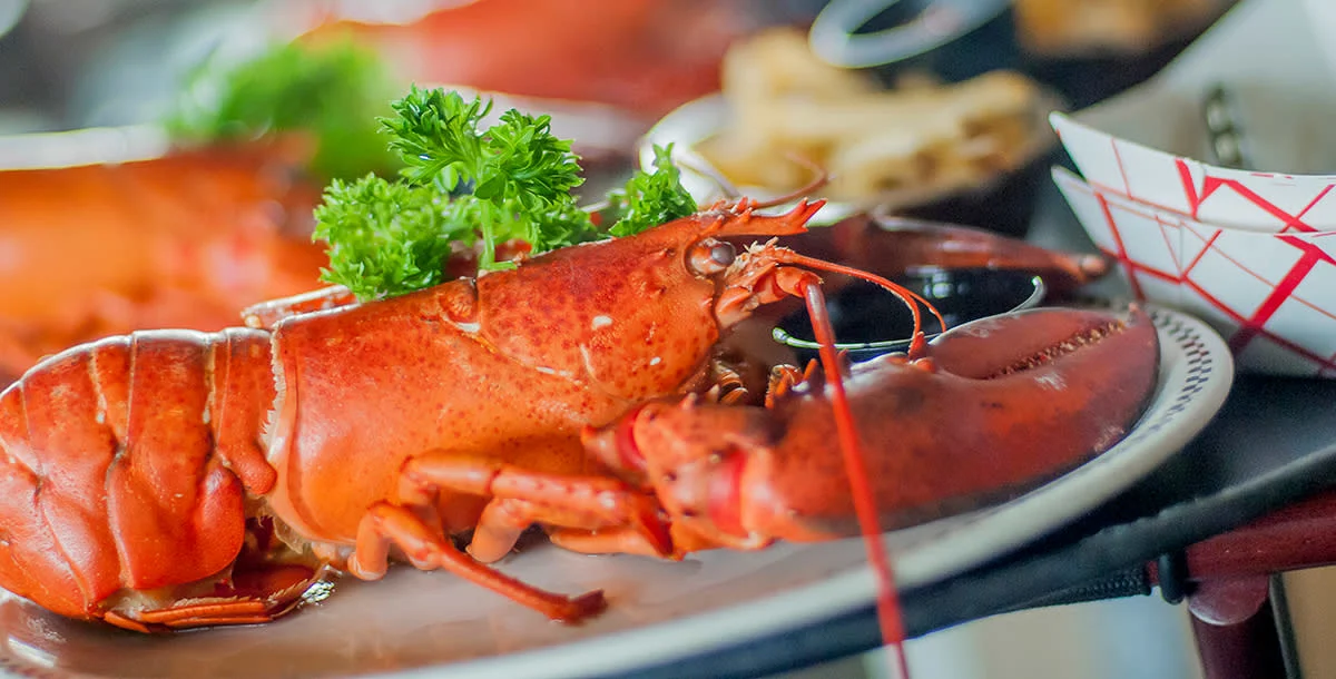 Fresh Seafood Restaurants-body-img