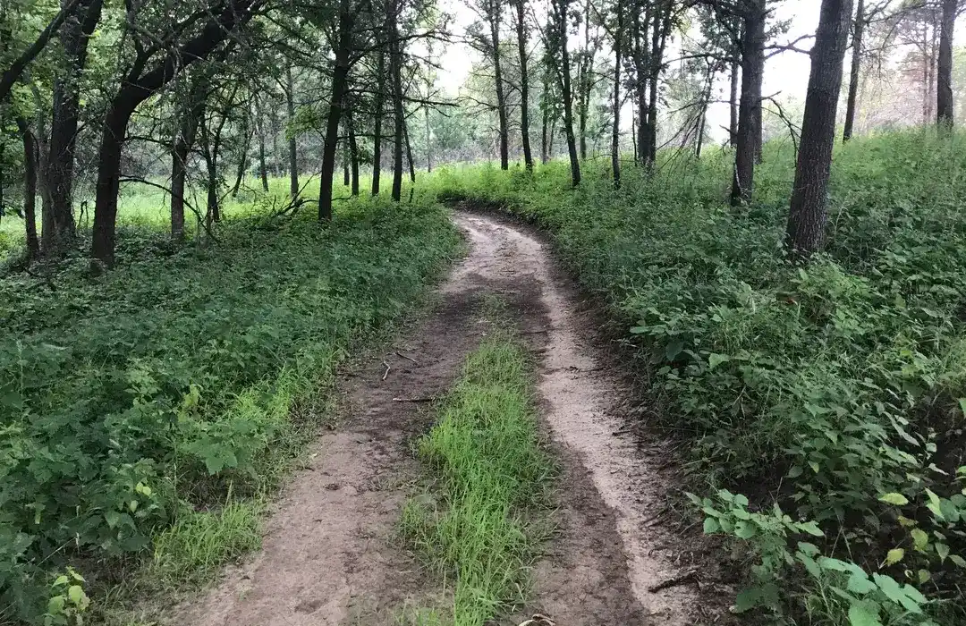 Hardwood Trail, Indian Cave State Park