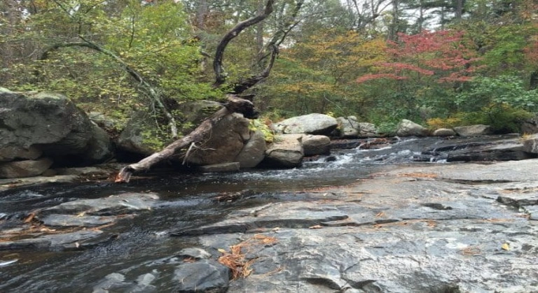 Hawn State Park image