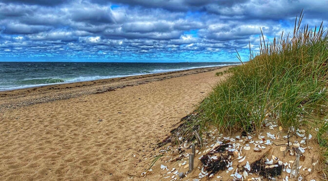 Herring Cove Beach 