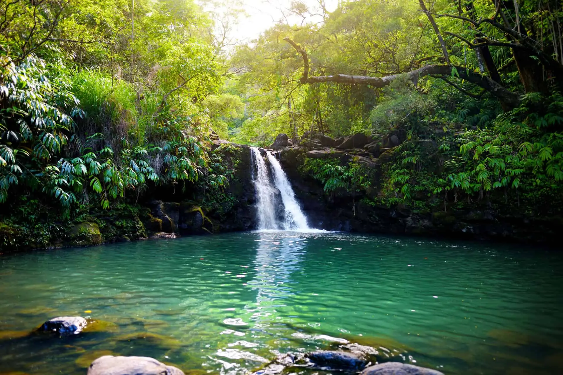 Chasing Hidden Waterfalls