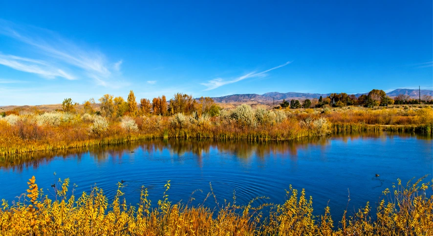 Hyatt Hidden Lake Image