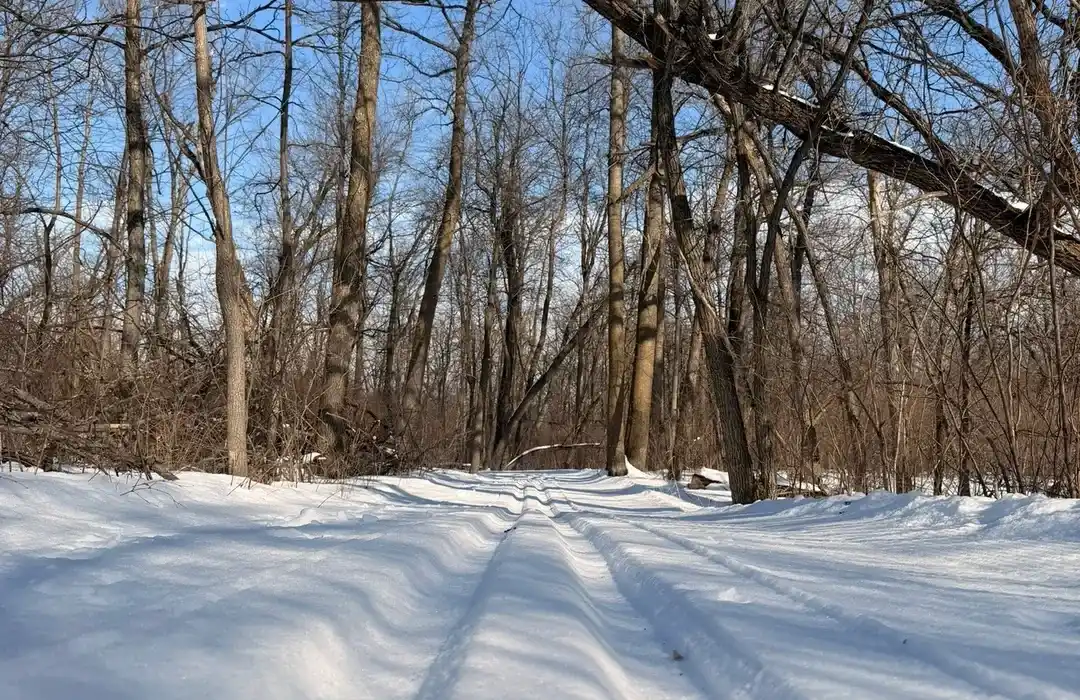 Icelandic State Park