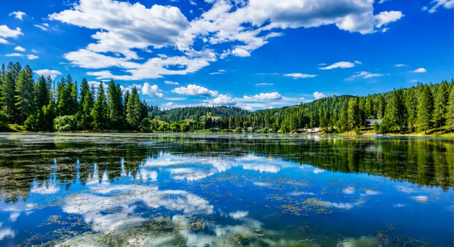 Image of Idaho Hayden Lake