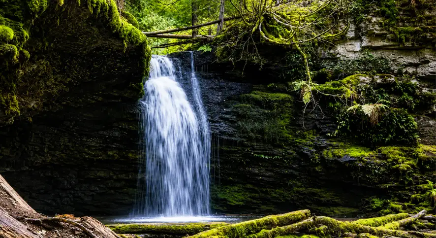 Image of Idaho Fern Falls