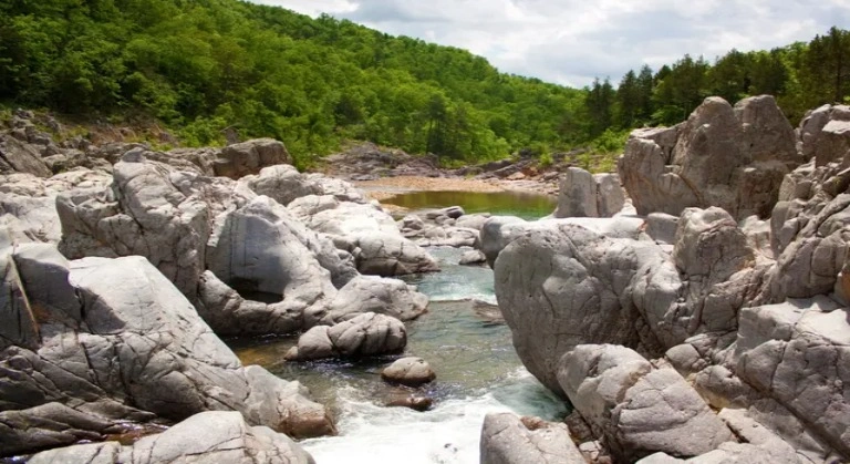 Johnson’s Shut-Ins State Park image