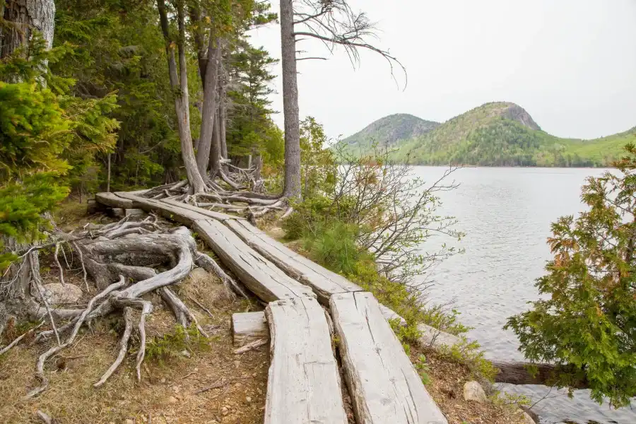 Jordan Pond Path