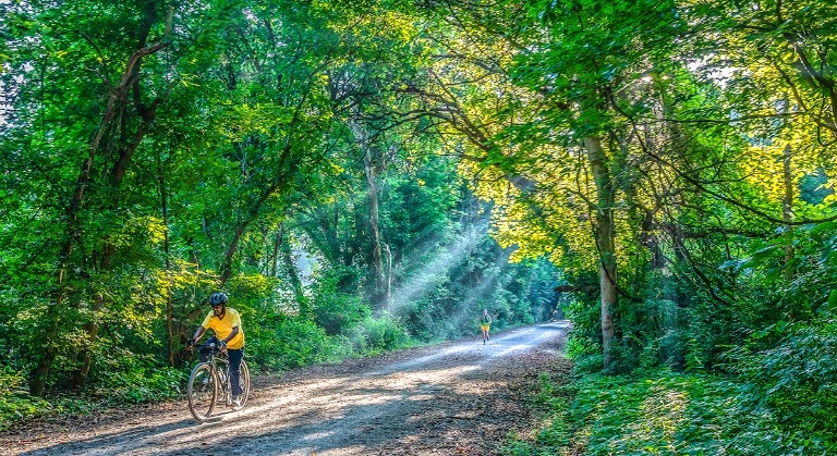 Katy Trail State Park image