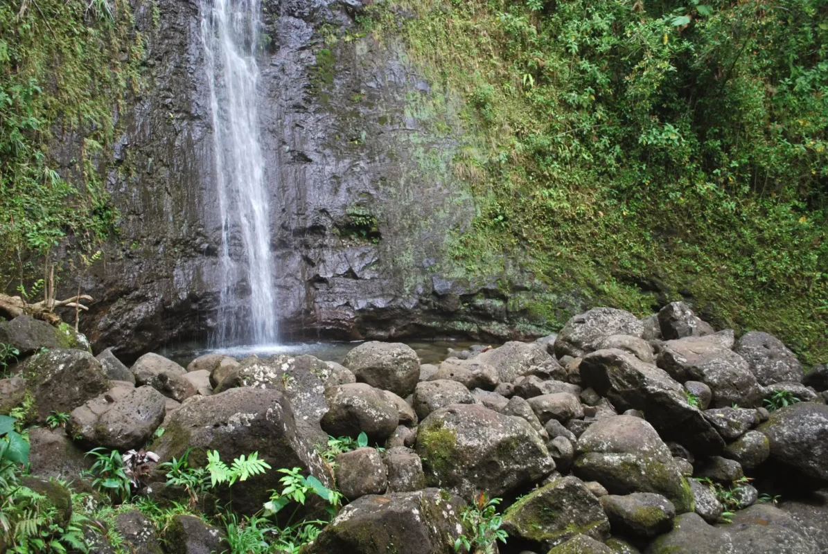 Manoa Falls