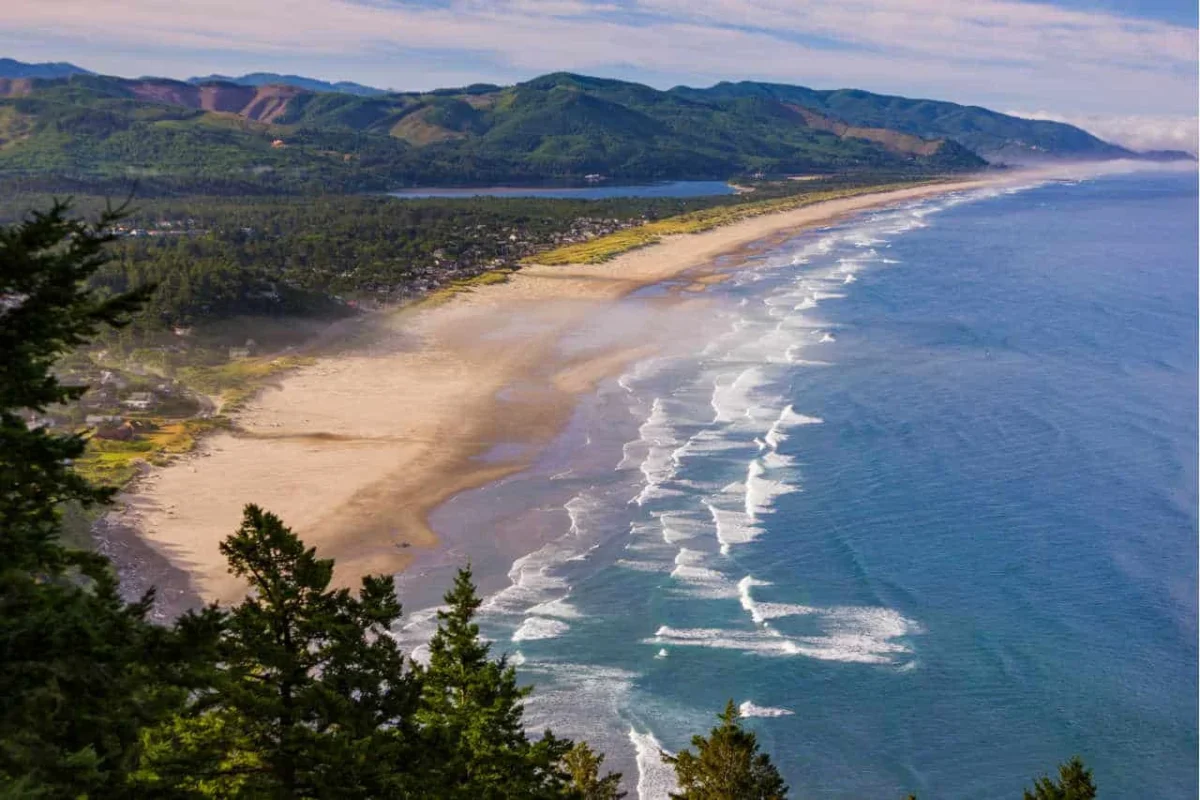 Manzanita