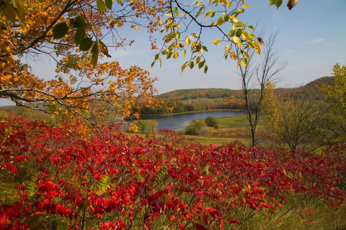 Maplewood State Park