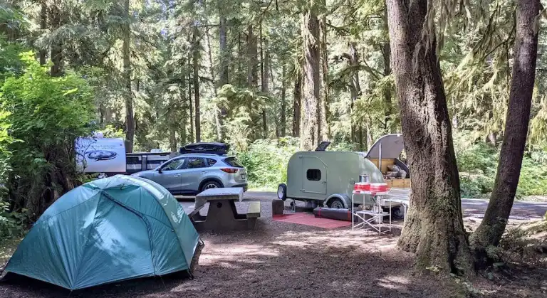 Mora Campground Olympic national Park image