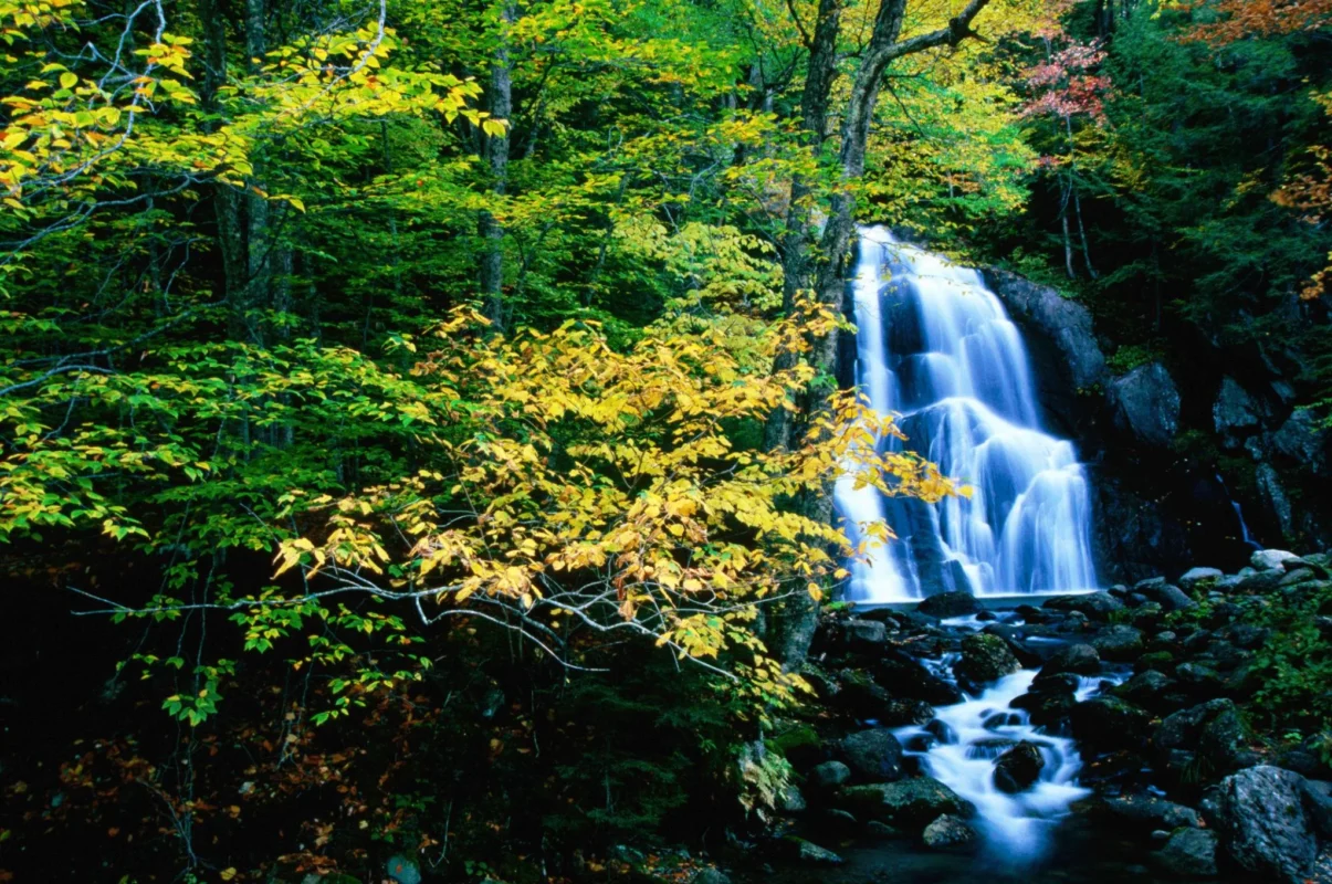 Moss Glen Falls