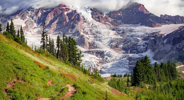 Mount Rainier National Park, Washington image