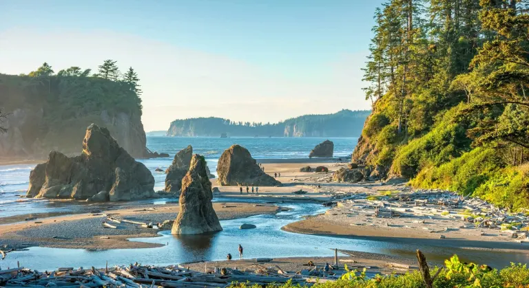 Olympic National Park, Washington image