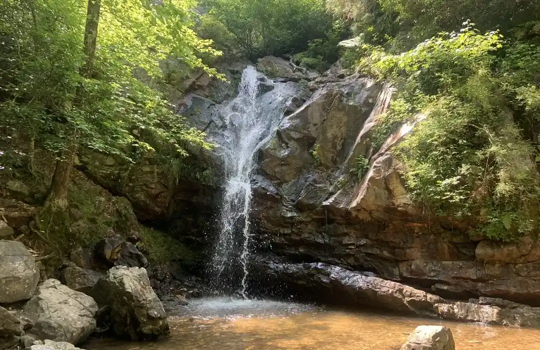 Cataratas Peavine