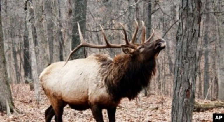 Peck Ranch Conservation Area image