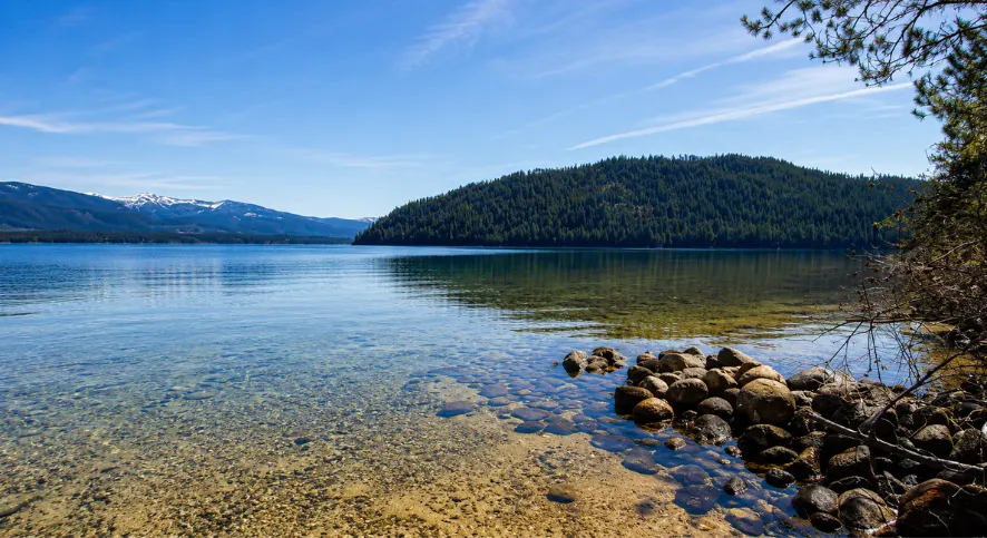 Priest Lake ID Image