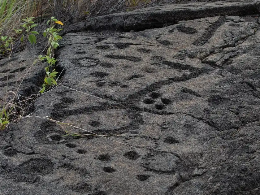 Petroglifos de Puʻuloa