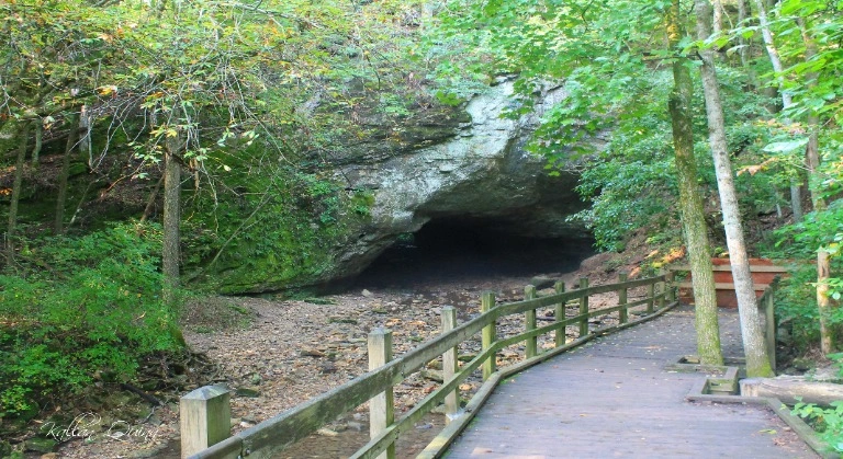 Rock Bridge Memorial State Park image