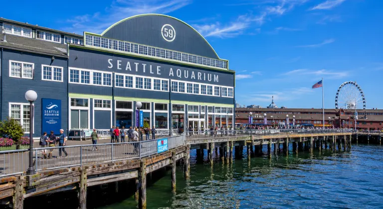 Seattle Aquarium image