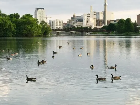 Silver Lake Park