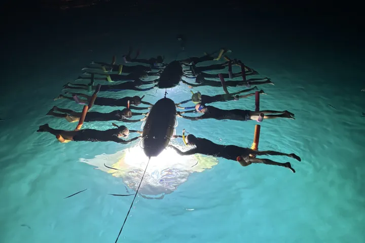 Snorkel with Manta Rays at Night 