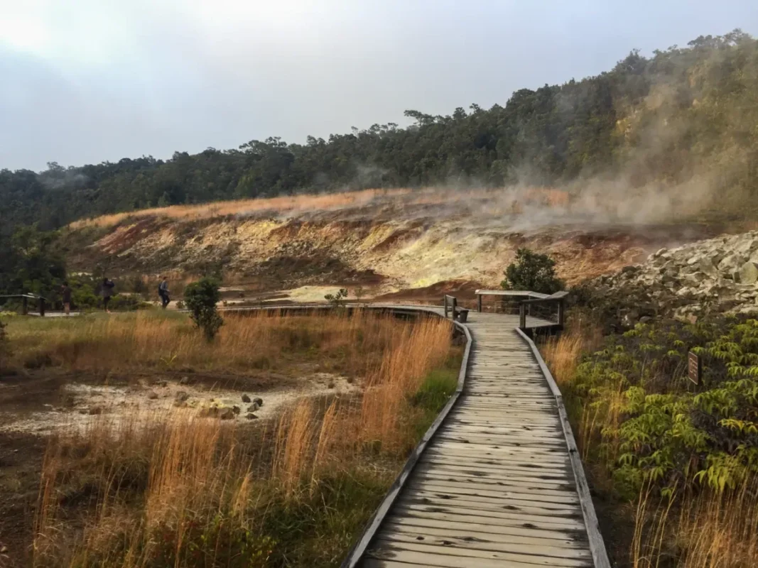 Sulphur Banks Trail